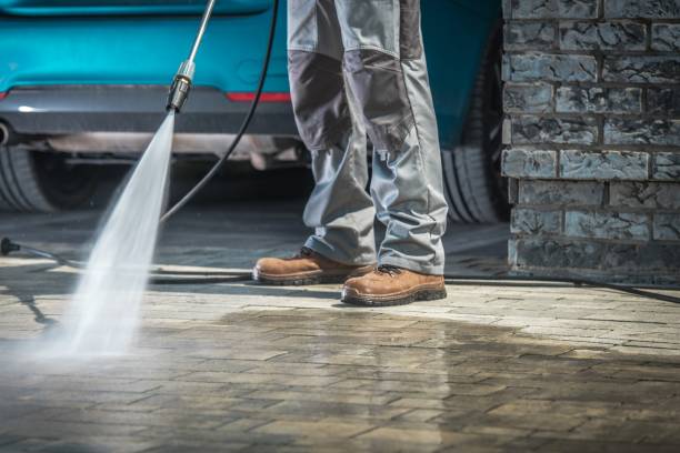 Best Roof Washing  in Lake Isabella, CA