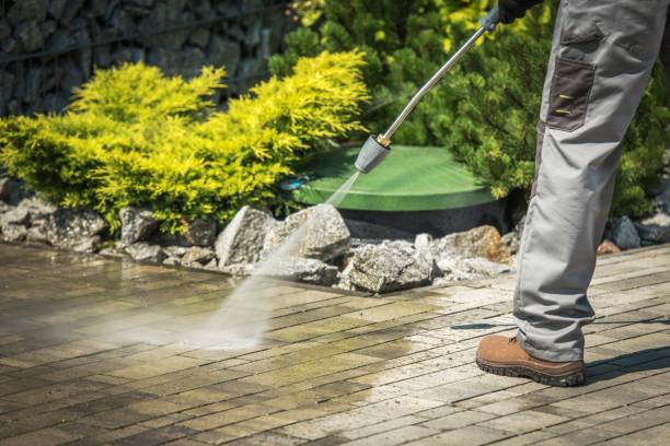 Professional Pressure Washing Services in Lake Isabella, CA